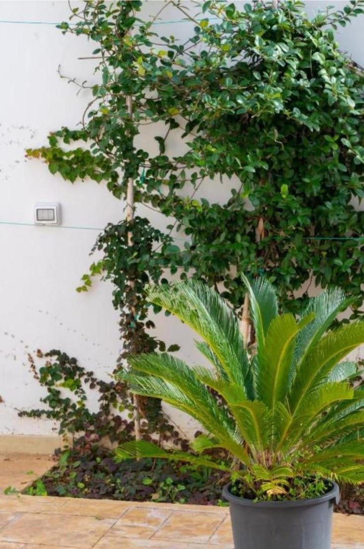 Aurora E Alba Apartman Casalabate Kültér fotó